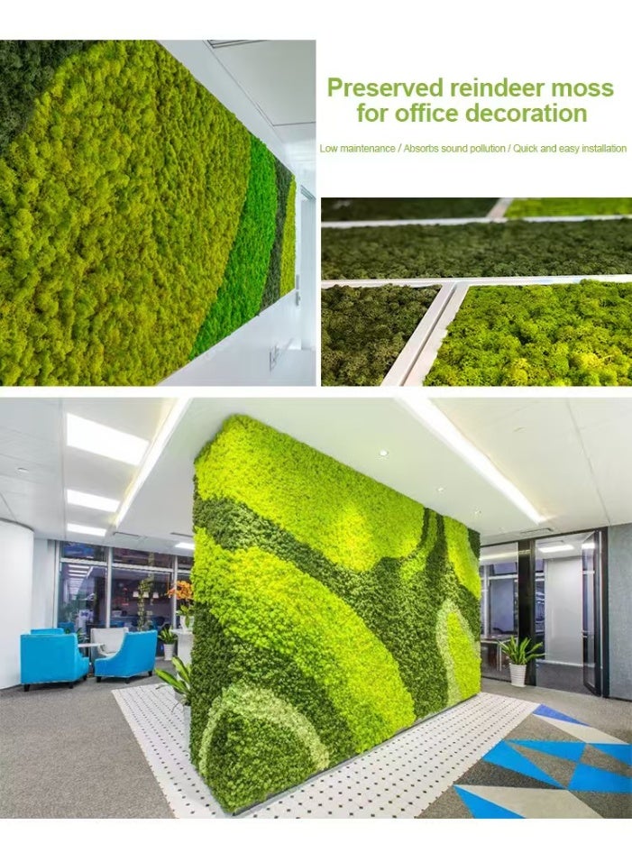 RYK-Natural Preserved Dried Feather Moss， Handmade, elegant moss wall decoration - zero maintenance, perfect for home, office, and wedding venues - Image 3