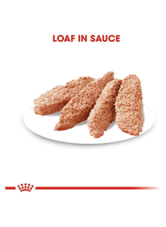 ROYAL CANIN Canine Care Nutrition Dermacomfort (WET FOOD - Pouches) 12 x 85g - Image 2