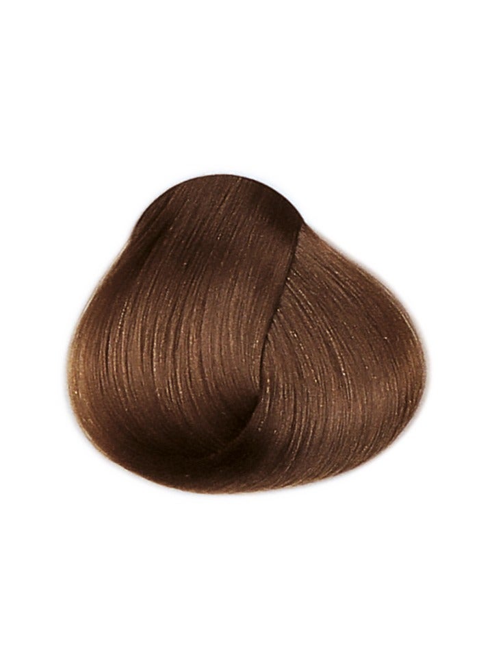 framesi FRAMCOLOR 2001 - كريم صبغ الشعر الدائم 60 مل | 6/NP أشقر داكن - Image 2