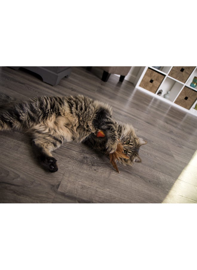 SmartyKat SmartyKat (2 Count) Flutter Balls Feather Cat Toys - Multi Color, 2 Count  - Image 5