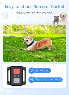 Excefore 4K HD Pet Collar Camera with WiFi - Mini Action Cam for Dogs and Cats with 64GB SD Card, Indoor/Outdoor Pet Monitoring Device, Perfect for Puppy Birthday Supplies  - Image 5
