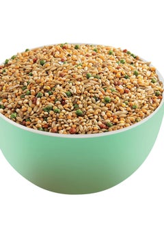 VERSELE LAGA Food For Love Birds (Budgies), Made From A Mixture Of High-Quality Seeds Rich In Vitamins, Amino Acids And Minerals, In A Size Of 2.5KG  - Image 2