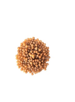 Nicense Nicense Premium AKPI Seeds – 100% Natural Weight Gain & Skin Care Superfood – 1Kg  - Image 2