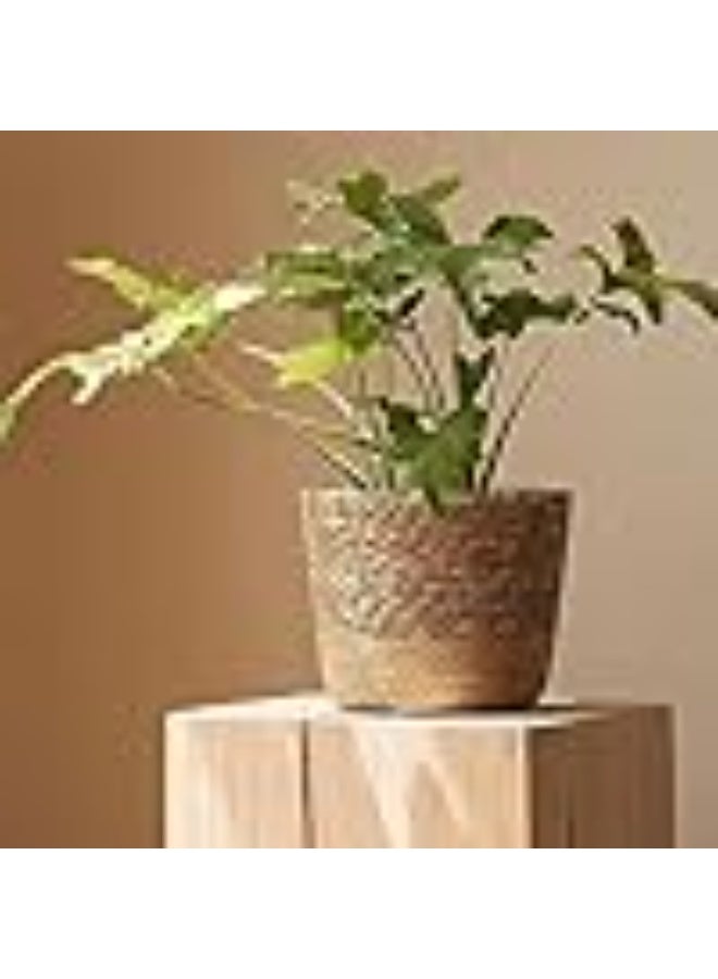 عربست سلة نباتات القش المحبورة يدويًا -مزرعة خارجية مقاومة للتسرب للزهور والتخزين والغسيل -زينة طبيعية خفيفة الوزن من العشب للمنزل وغرفة النوم والمطبخ (أحجام S/M/L)  以上翻译结果来自有道神经网络翻译（YNMT）· 通用场景 - Image 5