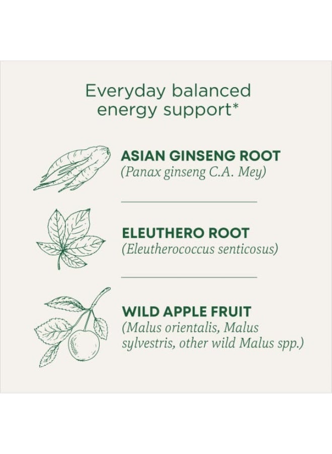 Traditional Medicinals Traditional Medicinals, Organic Stress Ease Focus, Ginseng Wild Apple Mint, Caffeine Free, 16 Wrapped Tea Bags, 0.99 oz (28 g)  - Image 4