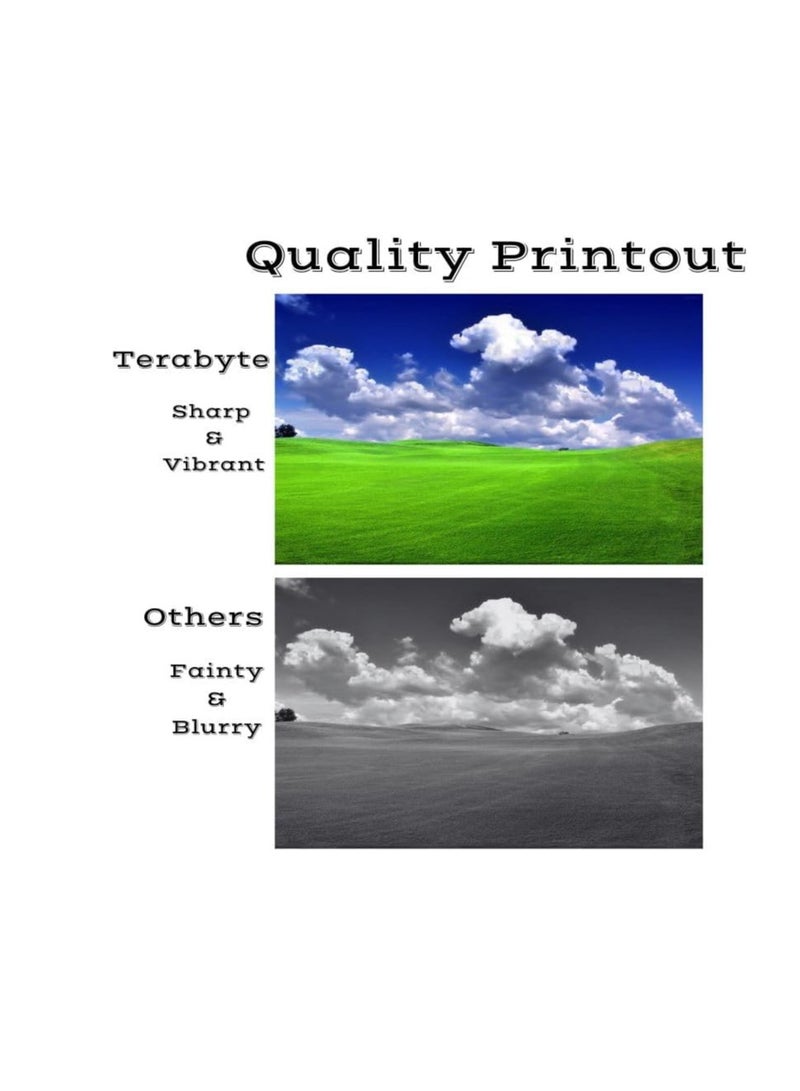 Terabyte خراطيش حبر 216A W2410A (مع شريحة)، مجموعة حبر متوافقة لـ HP W2411A W2412A W2413A HP Color Laserjet Pro MFP M183fw M182nw M182n M155a M155nw (4 عبوات، أسود، أزرق، أصفر، أرجواني) - Image 2