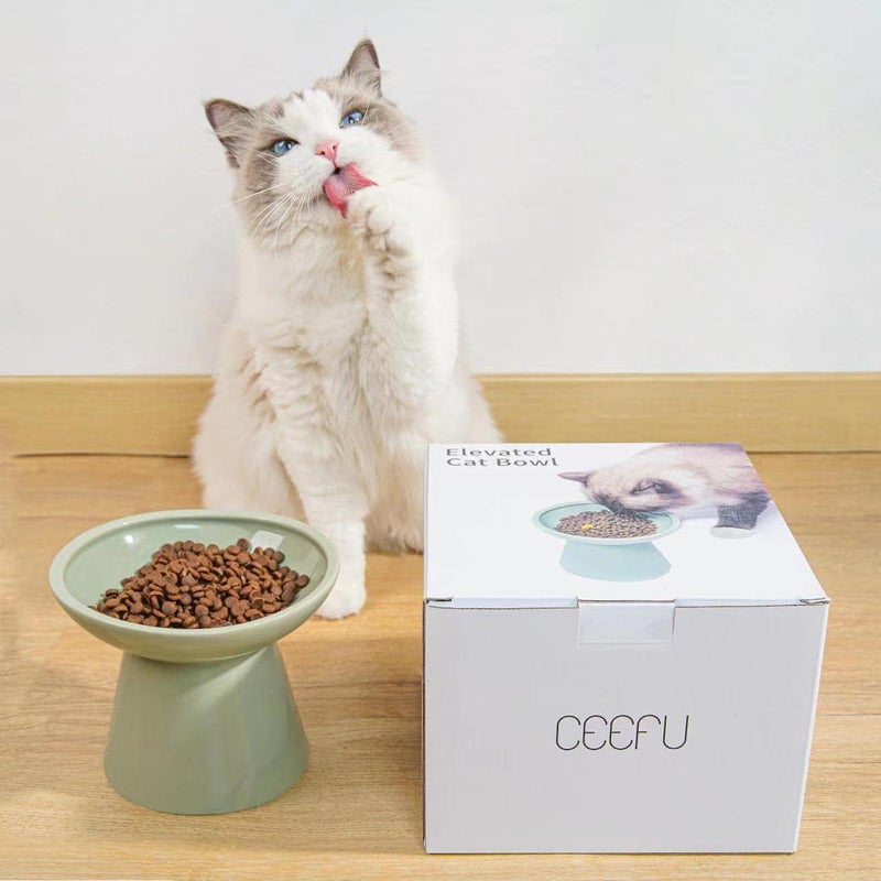CEEFU Extra Wide Elevated Ceramic Cat Food Bowl - 6.2" Shallow Dish for Whisker Fatigue Relief, 5" Height for Easy Feeding, Lead & Cadmium Free, Durable Raised Cat Food Bowls, Sage Green - Image 4