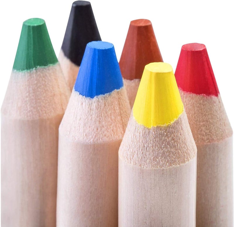 colozoo 3 In 1 Colouring Pencils - 24 Colours Set inc. Brush and Sharpener - Non-Toxic and Vegan for Ages 3 And Up - Image 3