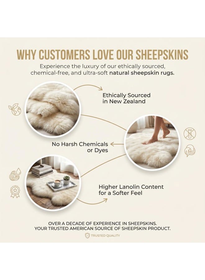 Super Area Rugs Premium Genuine New Zealand Fluffy Sheepskin Soft Bedroom/Living Room Natural White, Large 2' x 3' Single Pelt Sheep Skin for Chair Cover - - Image 5