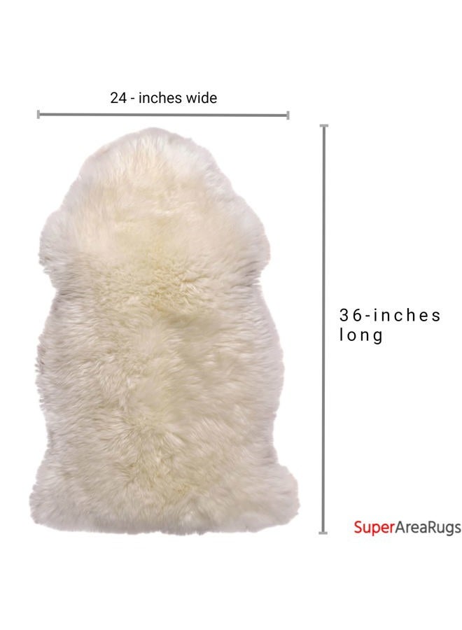Super Area Rugs Premium Genuine New Zealand Fluffy Sheepskin Soft Bedroom/Living Room Natural White, Large 2' x 3' Single Pelt Sheep Skin for Chair Cover - - Image 3
