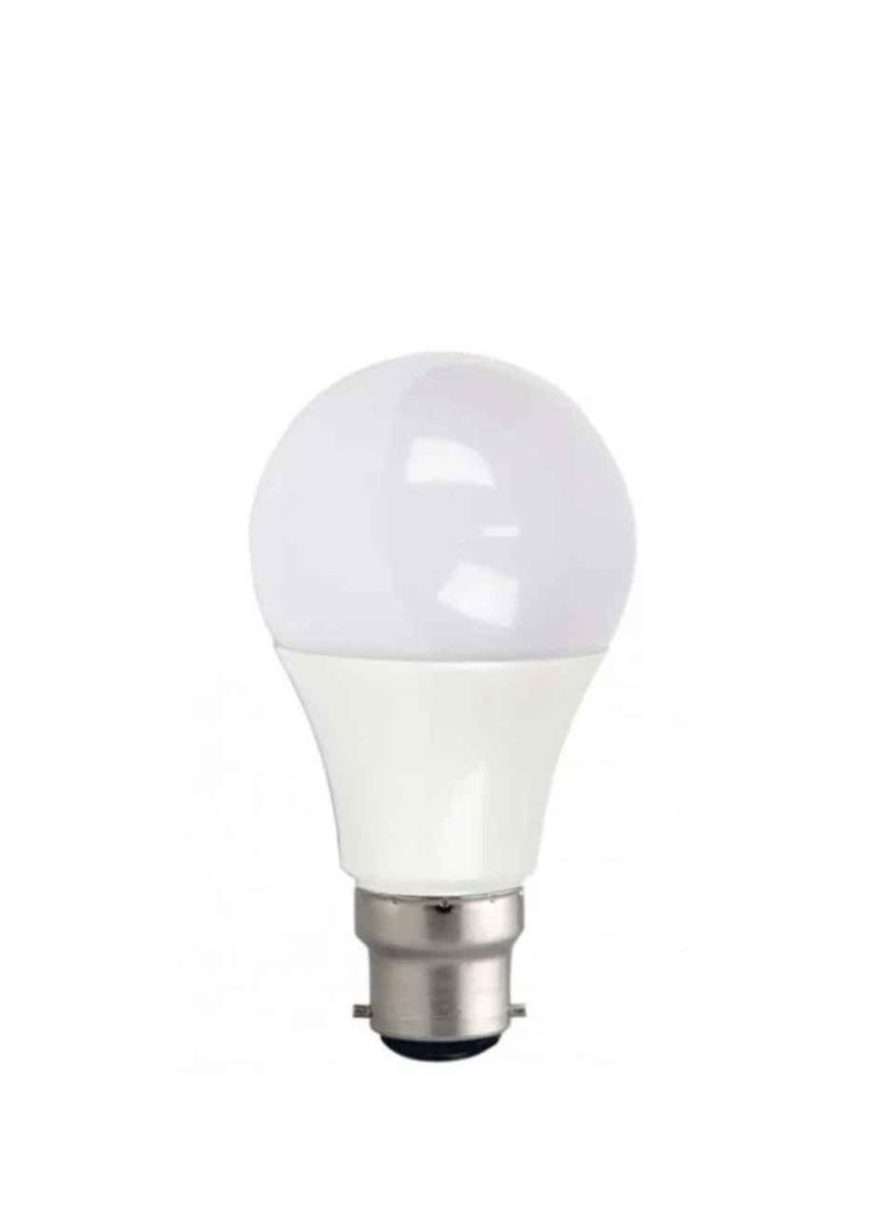 RR RR B22 12W LED Bulb WW 3000K RRLED-12WB22(W) 