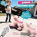 PRANITE Robot Dog Toy for Kids RC Smart Programmable Robotic Puppy Interactive Touch Music Remote Control Follow Mode Fun STEM Educational Learning Toy Rechargeable Pink AI - Image 4