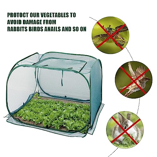 ANC POP Pop Up Mesh Plant Cover,40'' x 40'' x 30'' Plant Protector for Raised Garden & Flower Bed, Net Cage Plant Guard for Fruits, Vegetables, Seedlings and Herbs, 8 Ground Stakes for Fixing - Image 3