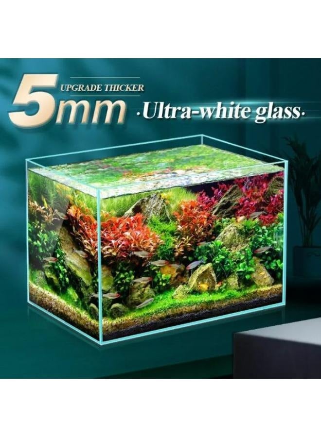 Crystal Clear Low Iron Aquarium - Image 2