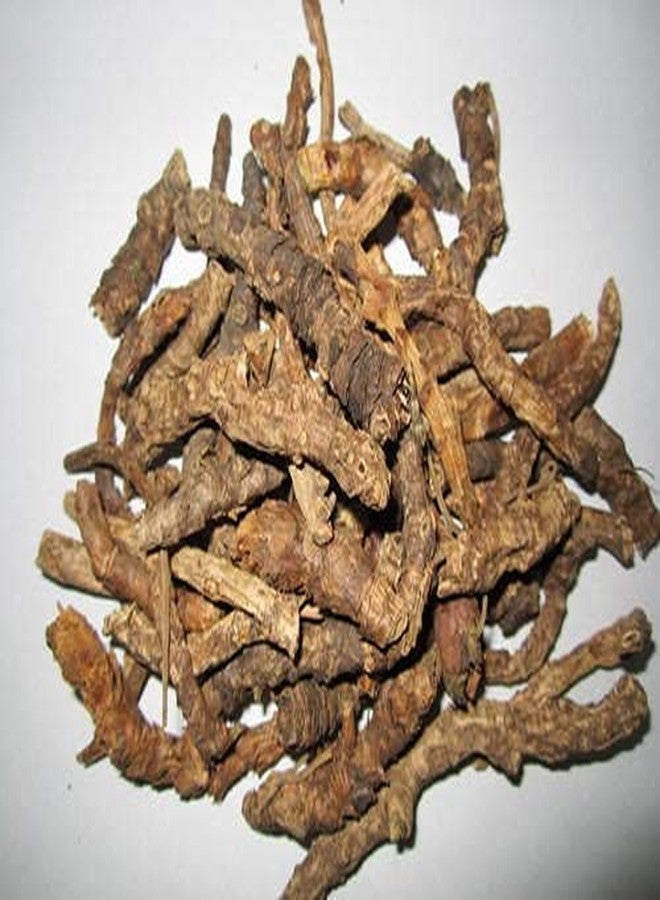 Value Life Essentials Valuelife Himalayan Kutki Root / Picrorhiza Kurroa (50g) - Image 3