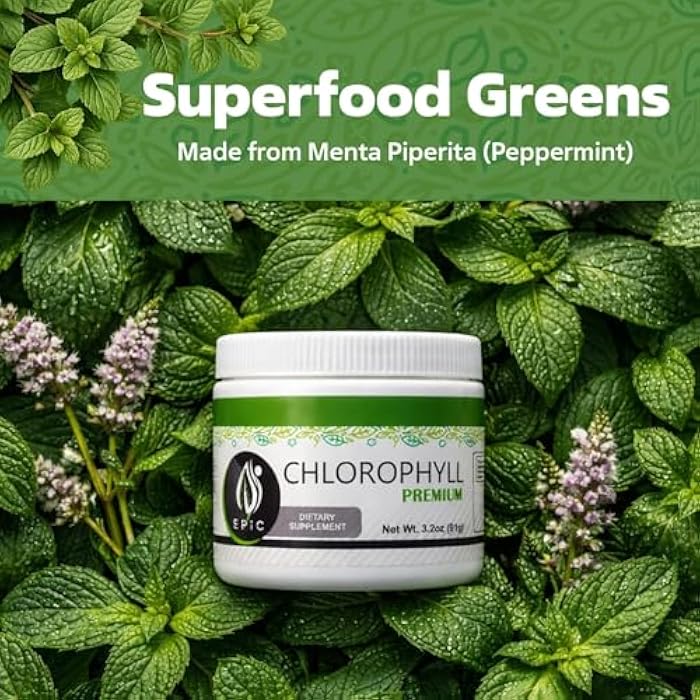 Epic Black Label Premium Chlorophyll Powder Dietary Supplement. Natural Chlorophyll That is Potent and Effective, Easy to Take with a Touch of Mint. - Image 3
