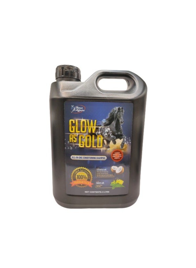 Glow As Gold Shampoo 5L - Image 1