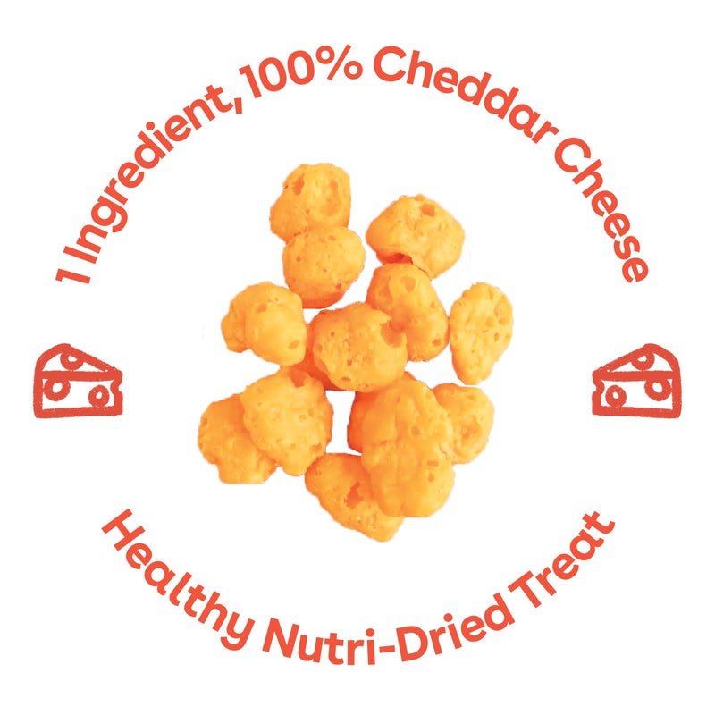 Pupford Cheese Crunchies, All-Natural, Healthy, Freeze Dried, Single-Ingredient Treat for Dogs & Puppies (Cheddar, 7.50 oz) - Image 2