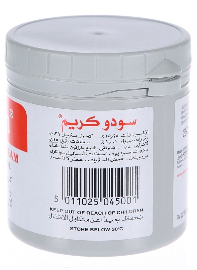 Sudocrem Sudocrem Antiseptic Healing Cream  - 250g  - Image 2
