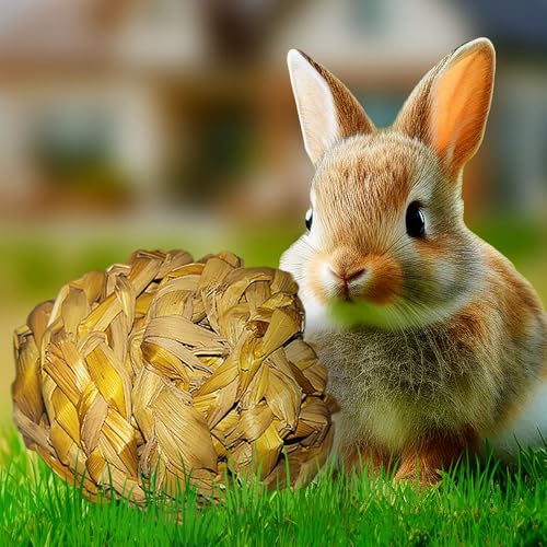 Gachwala Organic Hay Chew Toy for Small Pets, Rabbit Hay Chew Ball,Guinea Pig Hay Toy, Chewable Hay Toy for Hamsters, Small Pet High Fiber Ball, High Fiber Food - Image 1