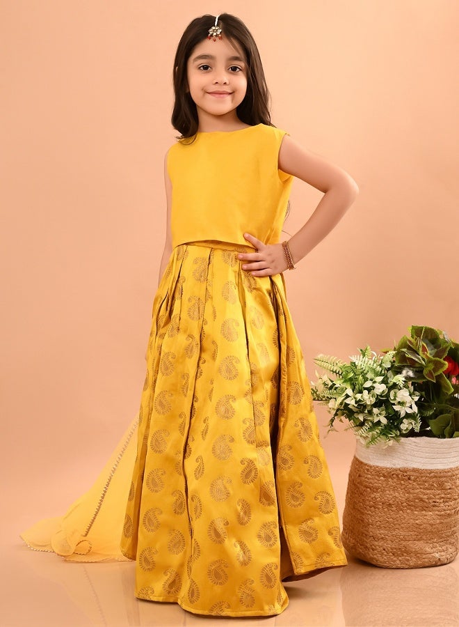 LILPICKS Lehenga Choli Set 