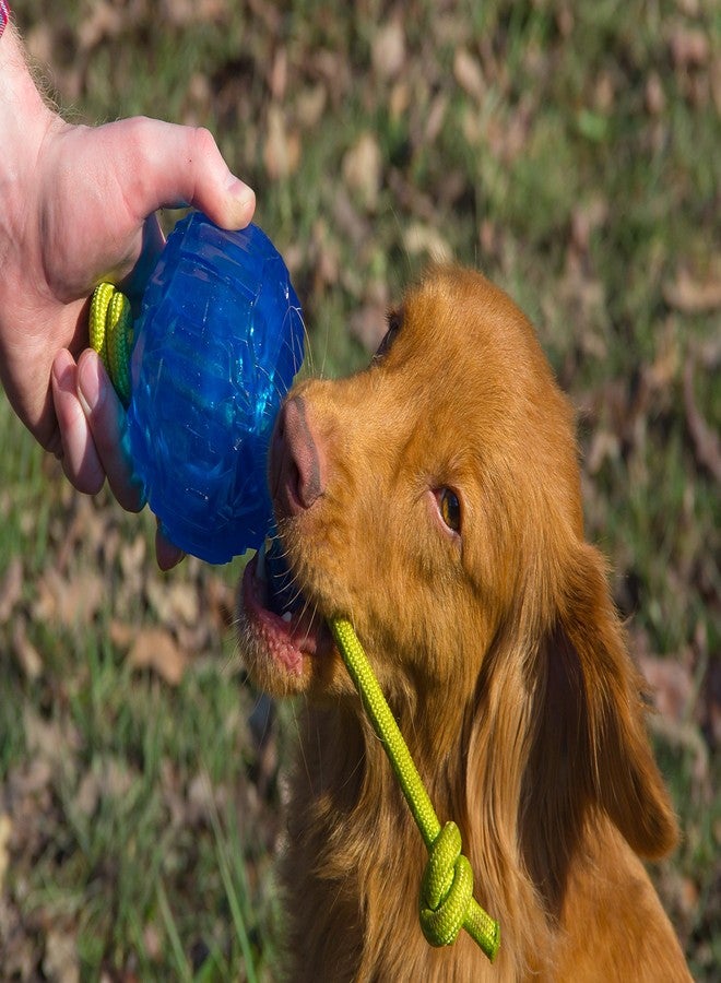 Hero ChillTime Soft Rubber Frozen Tug & Toss Ball, Large Dog Toy - Image 3