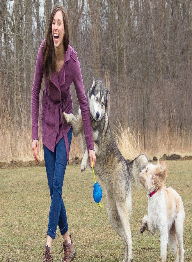 Hero ChillTime Soft Rubber Frozen Tug & Toss Ball, Large Dog Toy - Image 2