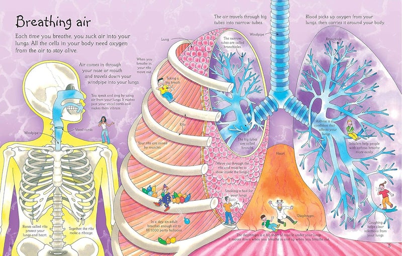 See Inside Your Body - Image 3