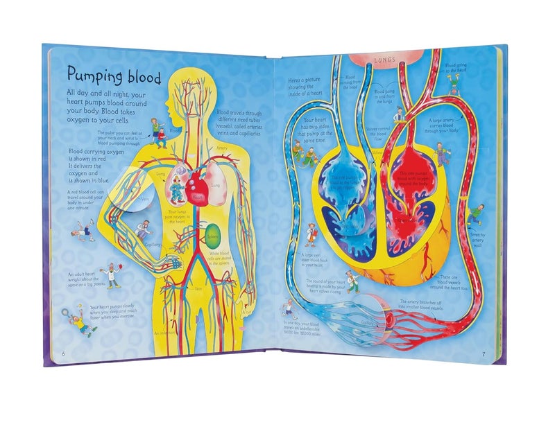 See Inside Your Body - Image 5