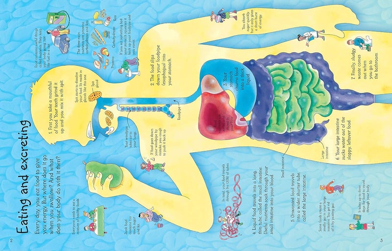 See Inside Your Body - Image 2