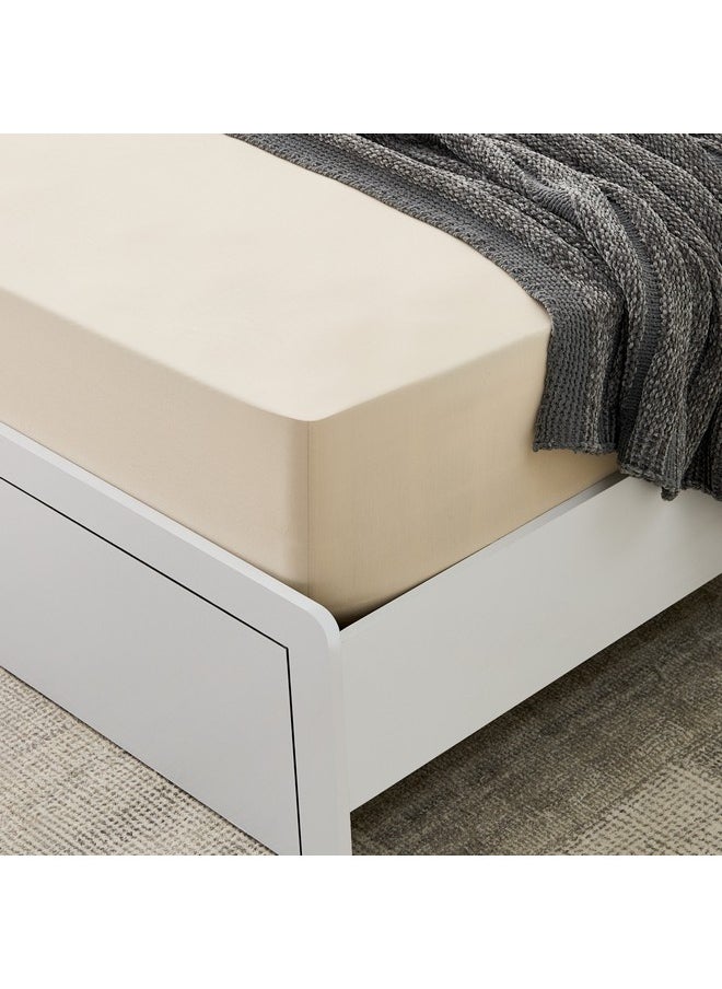 Home Box Essential Cotton Queen Fitted Sheet 150 x 200 x 36 cm  - Image 2
