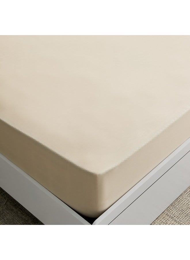 Home Box Essential Cotton Queen Fitted Sheet 150 x 200 x 36 cm  - Image 5
