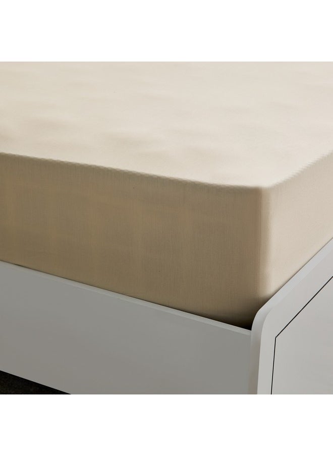 Home Box Essential Cotton Queen Fitted Sheet 150 x 200 x 36 cm  - Image 4