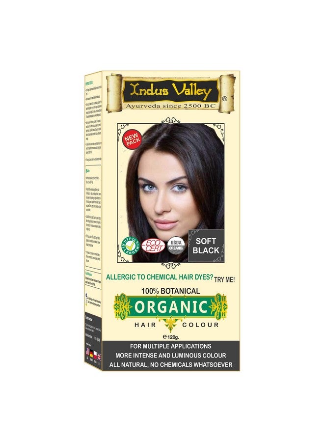إندوس فالي صبغة شعر نباتية 100% للرجال والنساء، مفيدة للأشخاص الذين يعانون من حساسية للمواد الكيميائية، خالية من مادة PPD، خالية من الأمونيا، خالية من المواد الكيميائية (أسود ناعم) 120 جرام - Image 1