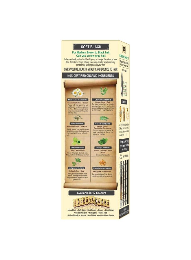 إندوس فالي صبغة شعر نباتية 100% للرجال والنساء، مفيدة للأشخاص الذين يعانون من حساسية للمواد الكيميائية، خالية من مادة PPD، خالية من الأمونيا، خالية من المواد الكيميائية (أسود ناعم) 120 جرام - Image 4