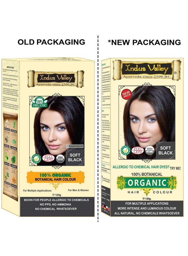 إندوس فالي صبغة شعر نباتية 100% للرجال والنساء، مفيدة للأشخاص الذين يعانون من حساسية للمواد الكيميائية، خالية من مادة PPD، خالية من الأمونيا، خالية من المواد الكيميائية (أسود ناعم) 120 جرام - Image 2