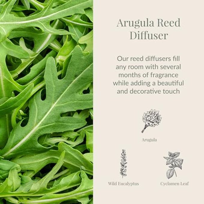 Archipelago Botanicals Arugula Reed Diffuser, Home Fragrance Reed Diffuser, Includes Fragrance Oil, Decorative Wooden Cap & 10 Diffuser Reeds, Perfect for Home, Office or Gift, 7.85 fl oz - Image 2