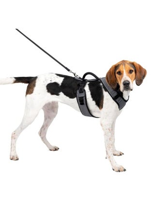 EasySport Dog Harness - Padded, Adjustable Dog Harness with Control Handle and Reflective Piping - Great for Active Dogs - from The Makers of The Easy Walk Harness - Large, Charcoal - pzsku/ZF37A63C46D91C654FC18Z/45/_/1691219753/c535ea91-09ed-4c0c-8061-c075fdf42a4f