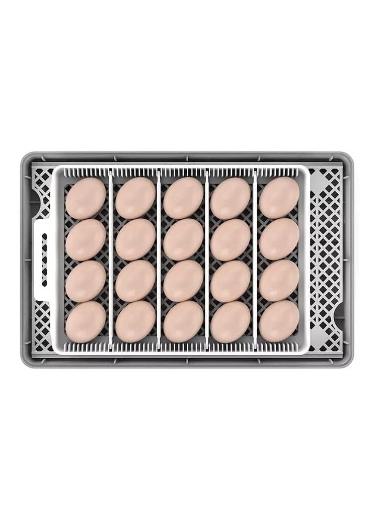 Neo Classic 20 Egg Automatic Egg Incubator with Automatic egg turning and temperature control function-E003  - Image 5