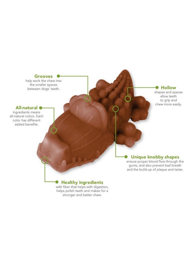 WHIMZEES - Paragon Whimzees Alligator Treat Dental Treat For Large Dogs, 6 Per Bag - Image 1