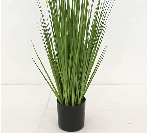 FOX & FERN FOX FERN Artificial Sunny Grass Plant with Pot Elevate Any Corner of Your HomeGarden Best for Gifting Party Wedding and Home Decor Ht 36 - Image 4