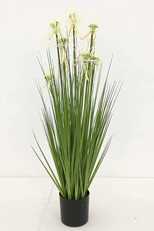 FOX & FERN FOX FERN Artificial Sunny Grass Plant with Pot Elevate Any Corner of Your HomeGarden Best for Gifting Party Wedding and Home Decor Ht 36 - Image 5