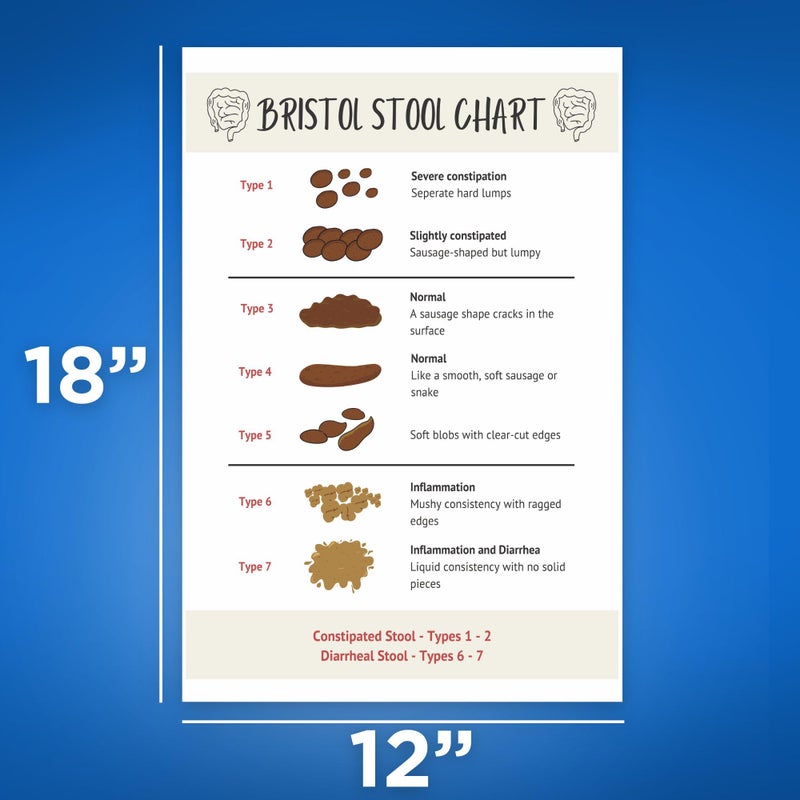 Bliss Monkey Co. Bristol Stool Chart - Gastrointestinal Health Chart - Digestive System Poster - Poop Consistency - 12 x 18 Inch - Unframed - Premium 100lb Gloss - Made In USA - BMCP0523 - Image 2