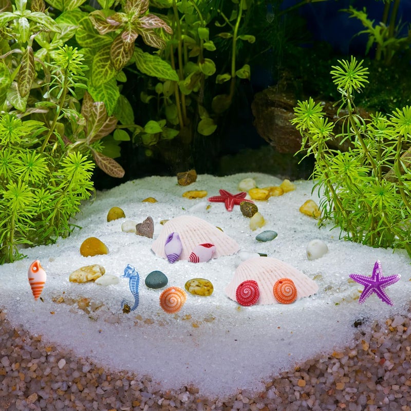 TENDYCOCO Mini Beach Seashells Sea Star Seahorse Natural Conch for Home Decorations Beach Theme Party Wedding DIY Crafts Fish Tank Vase Fillers Bonsai Decor 48pcs - Image 3