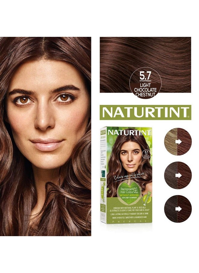 NATURTINT Permanent Hair Color 5Gm Chocolate Chestnut (Pack Of 1) 5.75 Fl Oz  - Image 4