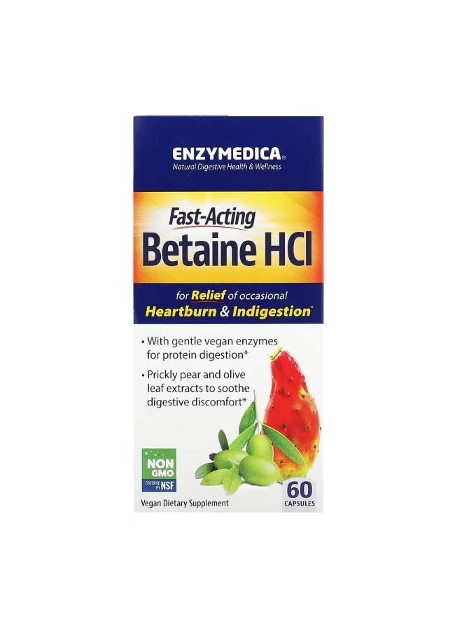 ENZYMEDICA - Fast Acting Betaine HCl 60 Capsules - Image 1