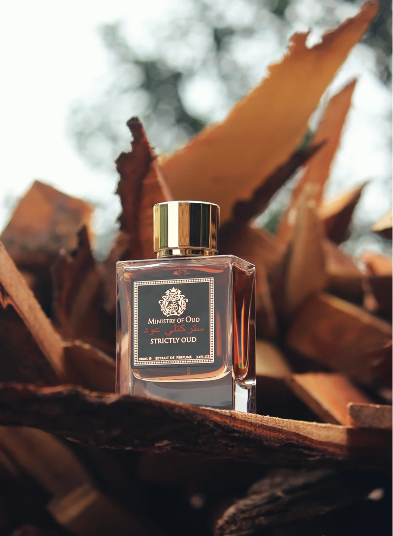 PARIS CORNER PARIS CORNER MINISTRY OF OUD - STRICTLY OUD 100ML