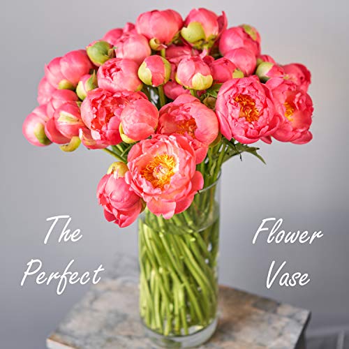 CYS Excel Glass Cylinder Vase (H:14" D:5") | Multiple Size Choices Glass Flower Vase Centerpieces | Hurricane Floating Candle Holder Vase - Image 3