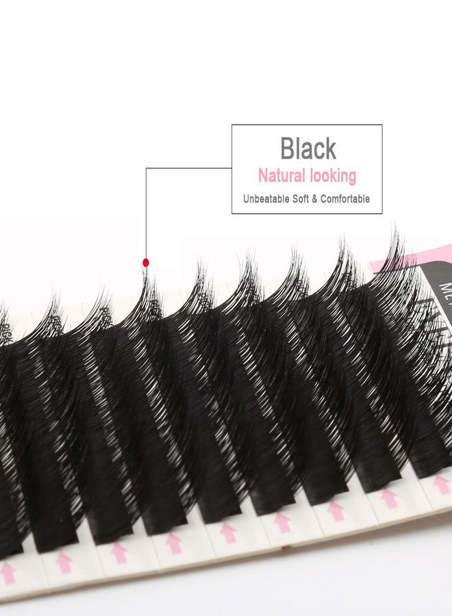Bella Hair Natural Looking J Curl Siberian Mink Eyelash Extensions Handmade Volume Individual False Lashes Pack Thickness 0.15mm Medium 12mm by Bella Hair - Image 5