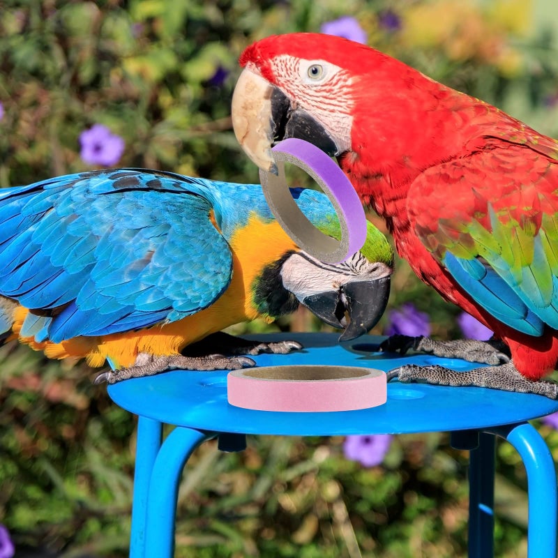 Jenaai 24 Pcs Chew Bagels Bird Toys for Parrots 2.4 Inch Wood Bird Chew Toys Colorful Cardboard Foraging Chew Foot Wooden Training Toy for Cockatiels Cockatoos Macaws and Similar Sized Pet Birds - Image 5